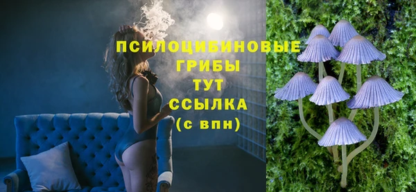 mdpv Лихославль