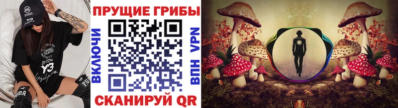 Галлюциногенные грибы Psilocybine cubensis  наркотики  Тейково 