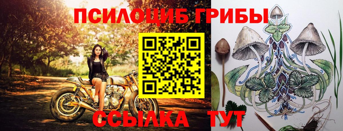 Тейково  Галлюциногенные грибы Cubensis  Вход с VPN 