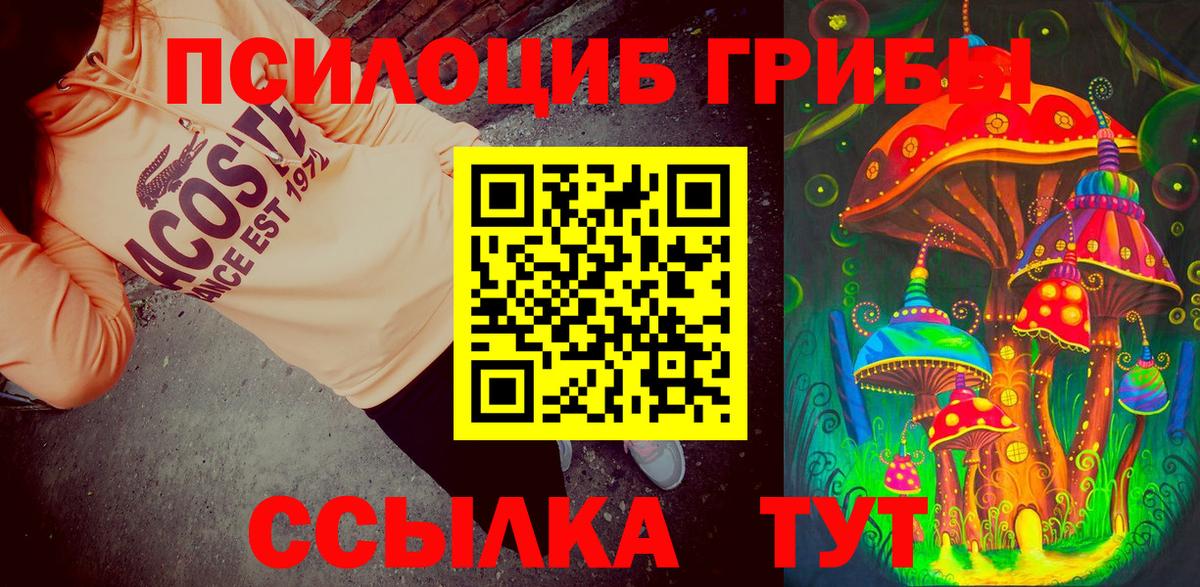 Галлюциногенные грибы Magic Shrooms  Тейково 